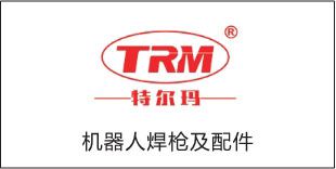 演示 Logo